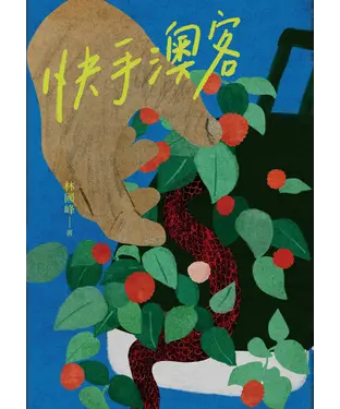 書封 快手澳客