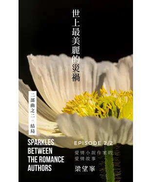 書封 世上最美麗的災禍
